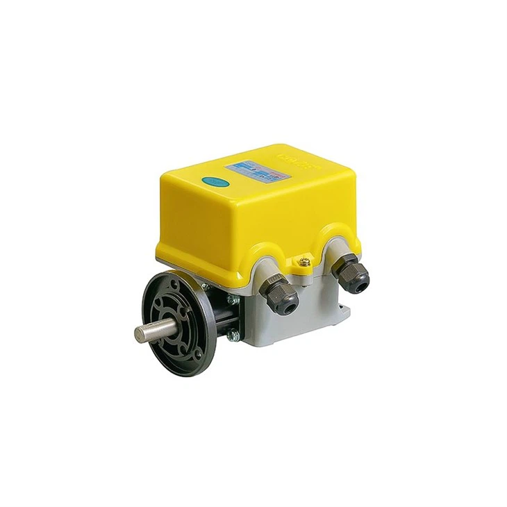 European Electric Hoist 4